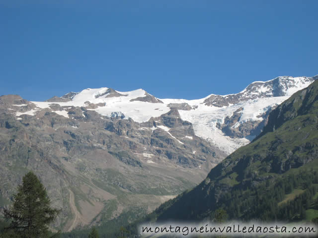 monte rosa